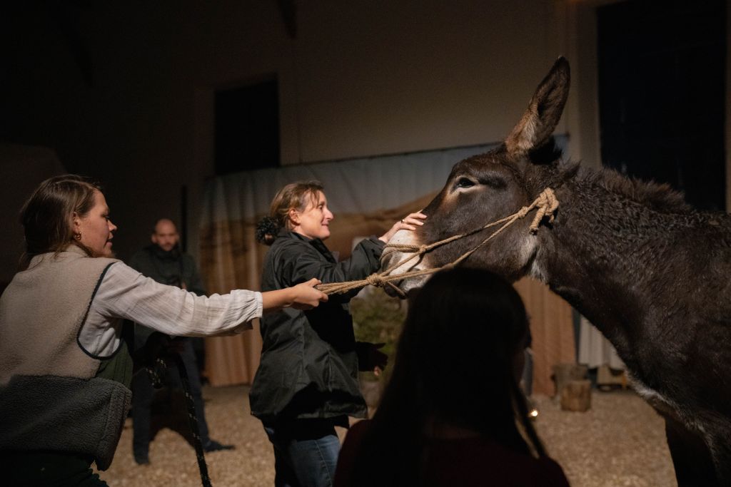 L'âne qui n'obéit pas
